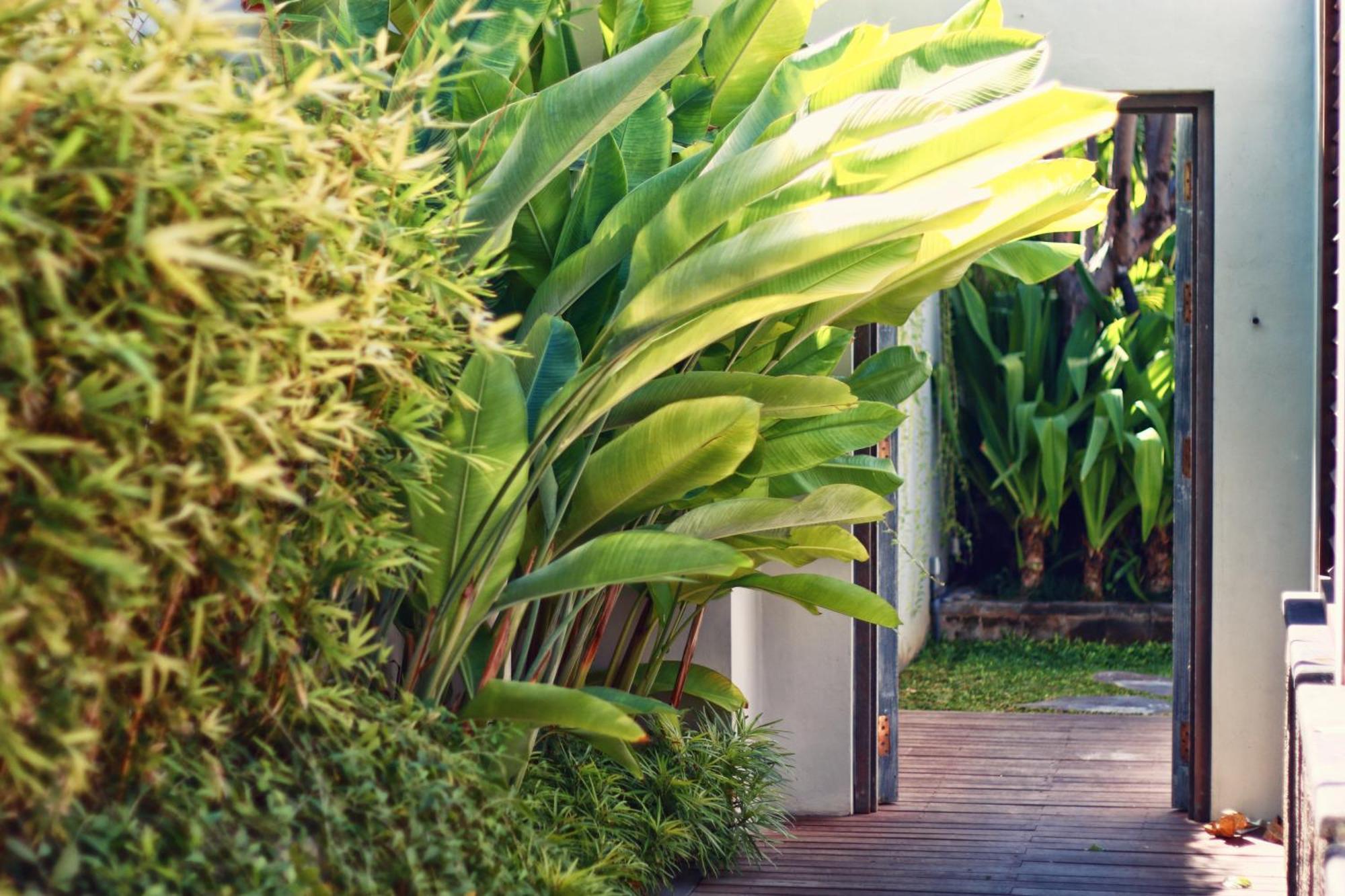 Hu'U Villas Seminyak Chambre photo